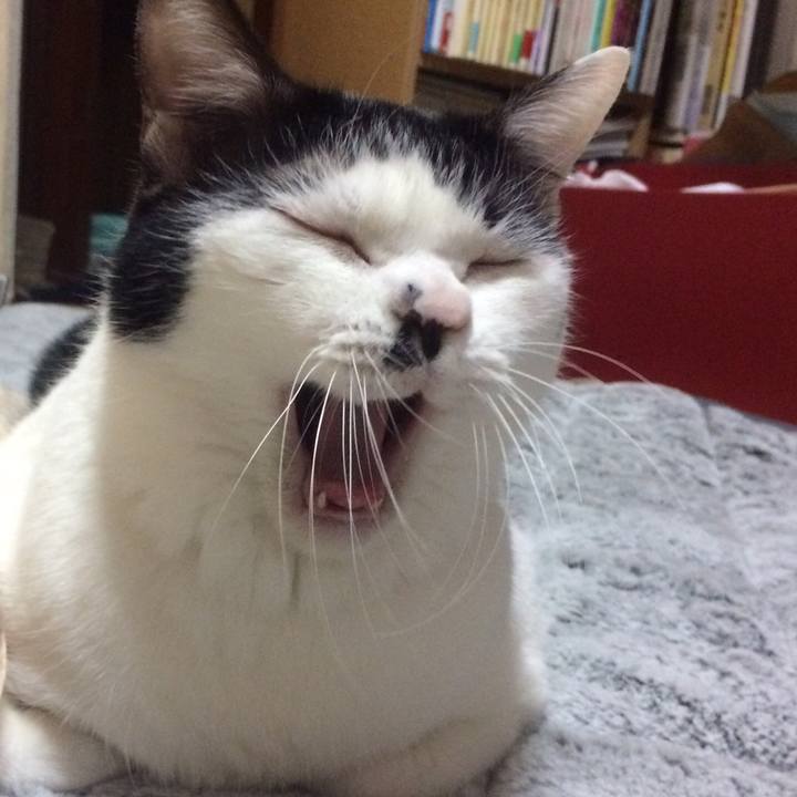 7687fdb3 cae9 4244 8f58 00f10bad5c39