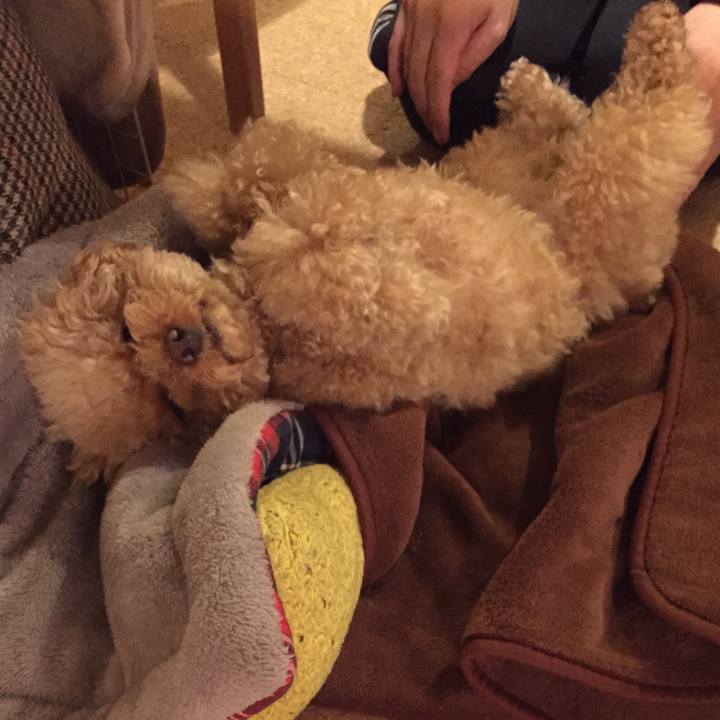 768919fe 963c 496a 937f 13219f87c194