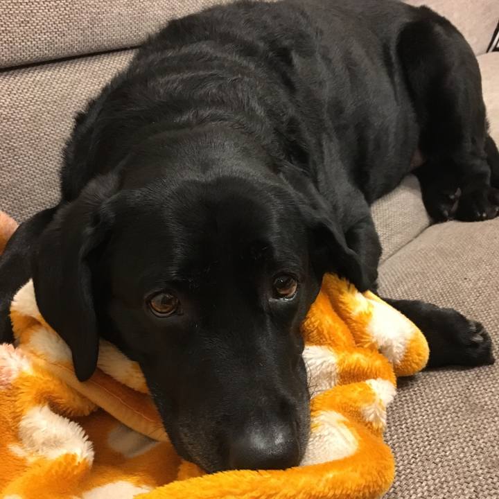 7689736e 1d0f 49ce b647 d8f23f3cbd20