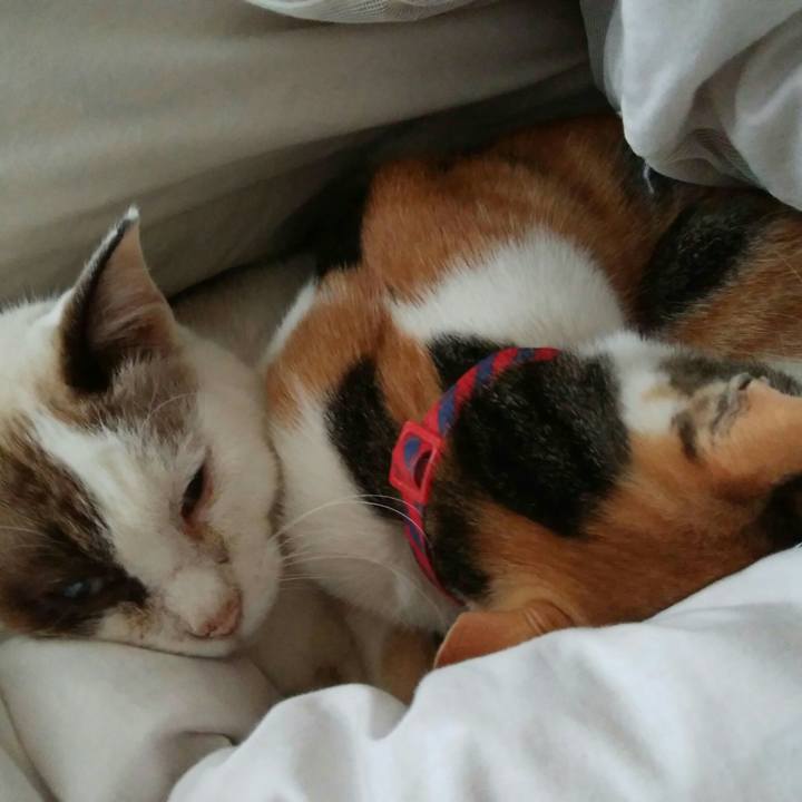 768991b7 faf0 41ef 9aed 52a016d0e488