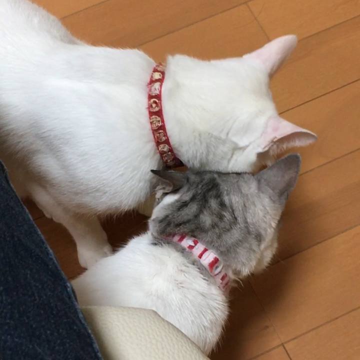 7689f7ba 6adb 4e57 92c4 e622608aee53