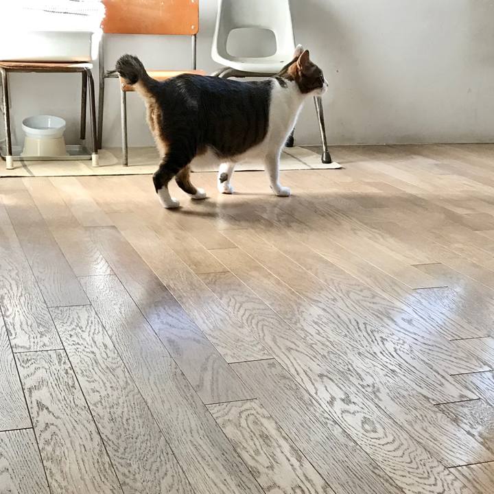 7689fe3d 1ef2 4f30 bb86 191139e7eb2d