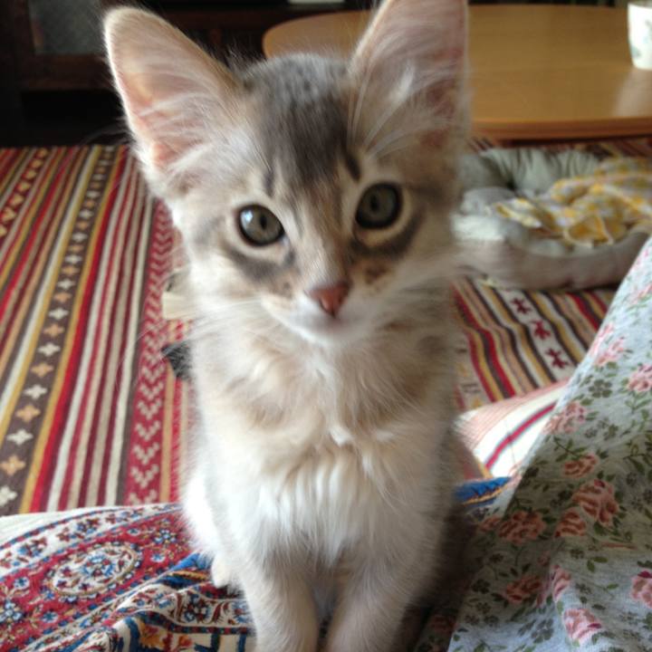 7689ff7d b06b 4307 93d4 4a53665a10fd