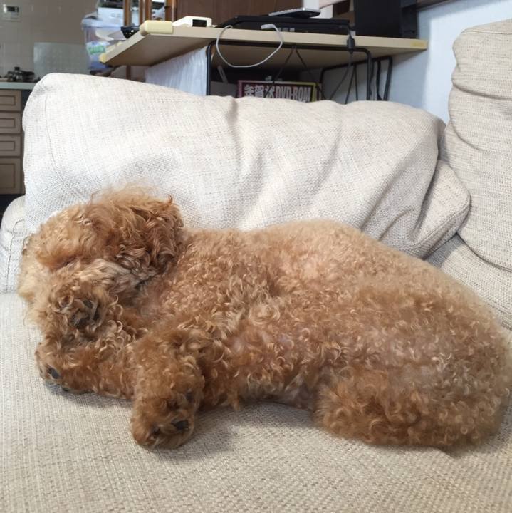 768a0ec1 5df0 4430 8548 0e157f770767