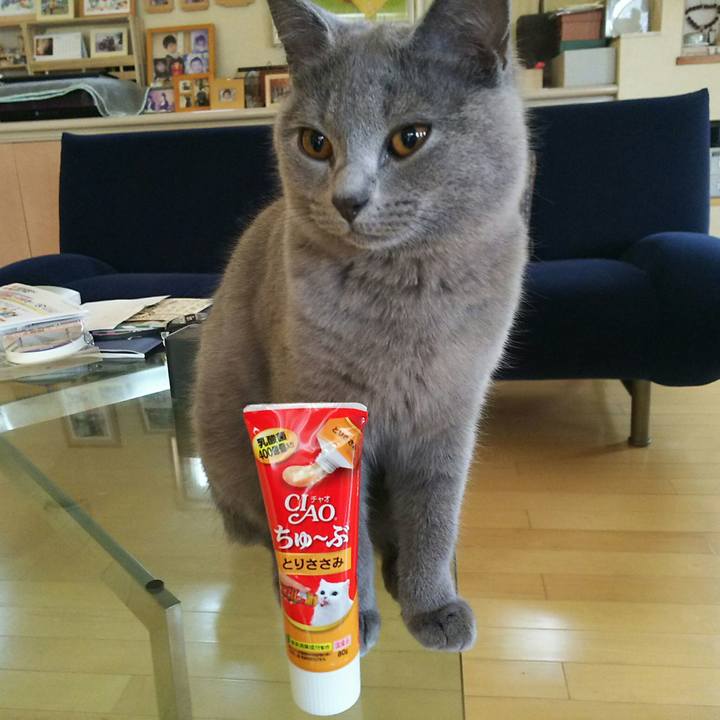 768a5b76 4f09 4e68 9824 968918d3c3ec