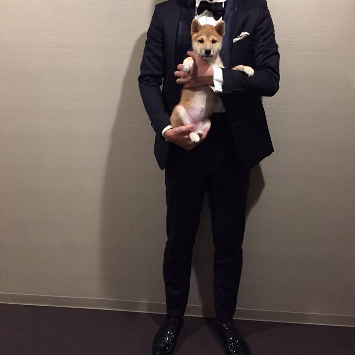 768a7333 7287 4fbb b4f1 c0ec8afc7b05