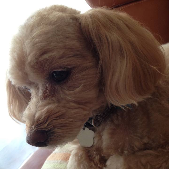 768a7e83 9a18 4722 8a1f 7298ad3ed0df