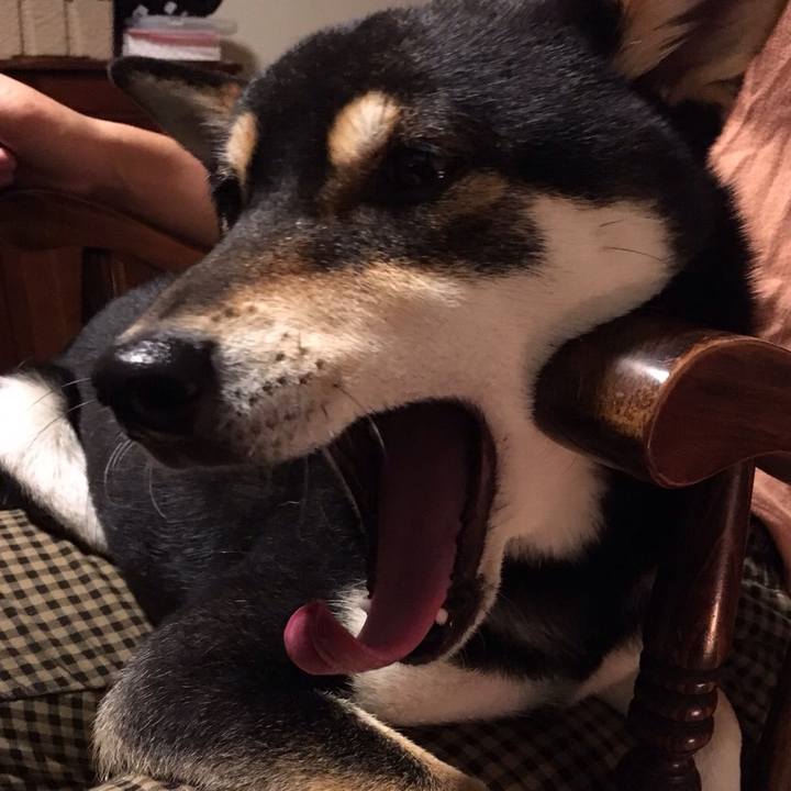 768b096c ed03 415c a89f 37c8d5a46b48