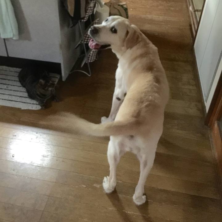 768b0c25 ecda 48a4 9df2 620ece412d1a