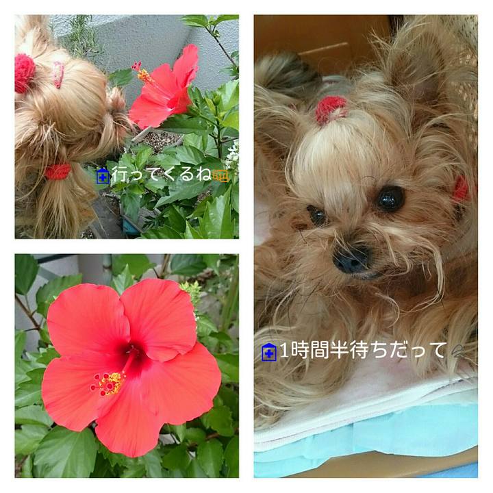 768b29a7 75f0 4857 beac 720e71089d78