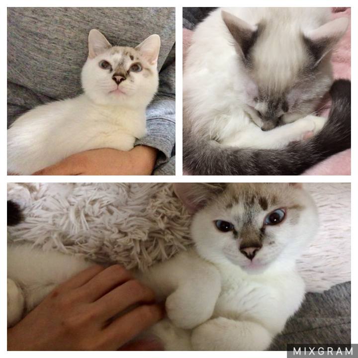 768b2ef8 ab7c 4ead 8923 f7a92498e5fa