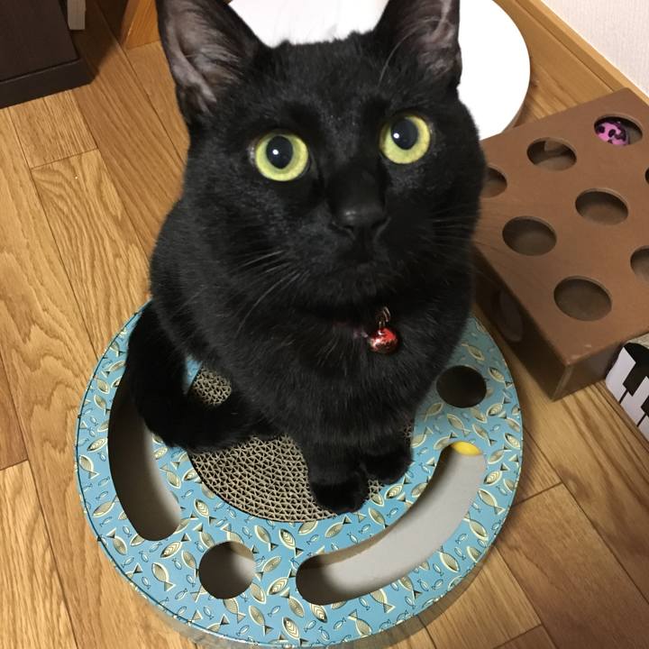 768b5cc9 48c9 4407 a600 16a9975701a2