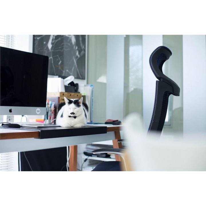 768b8893 36ca 4487 a08d 93ec30a71c9b