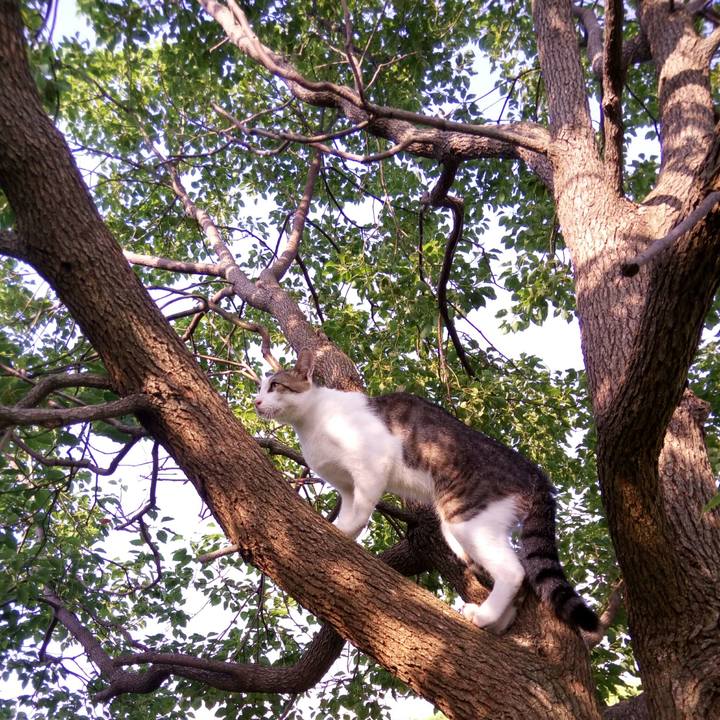 768be21f a988 49cc afa3 3cac2e87aaf8