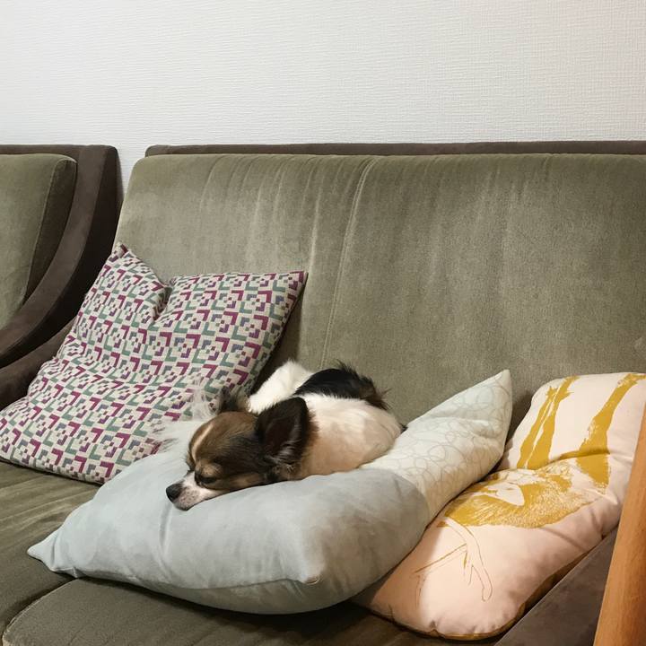 768cee7a 00e1 4d78 bfcc 498c5afe9883