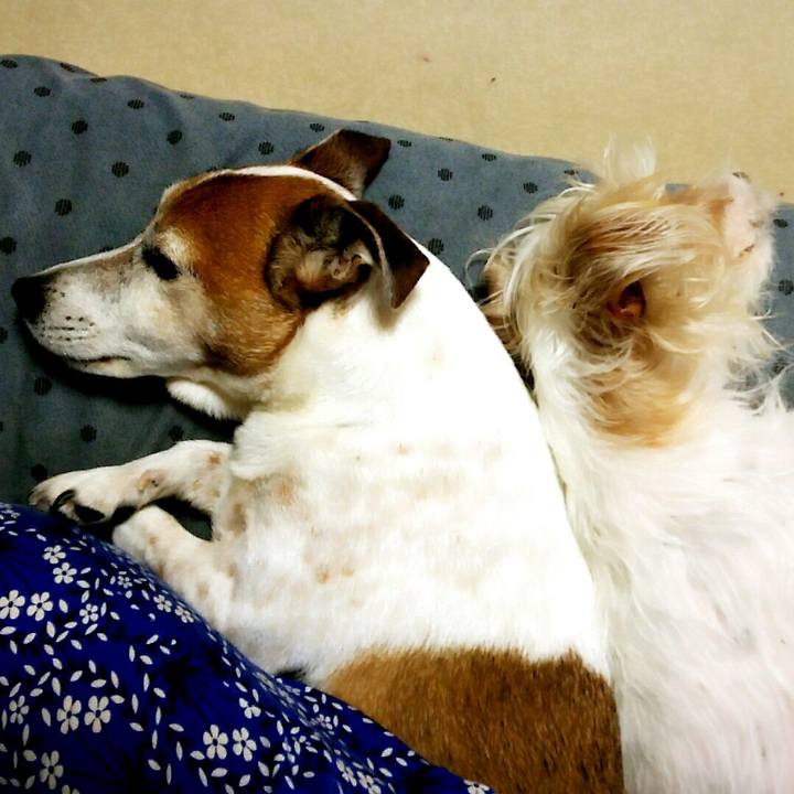 768dbf88 87de 4504 932e c360b86667d0