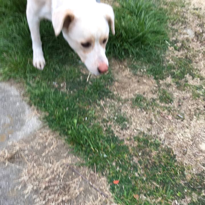 768dd08a f8ae 448b b892 7b63443e8523