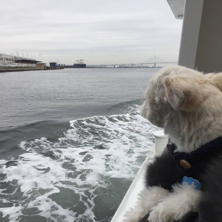 768eb774 cdf4 4061 bfc2 ce9100c92a71