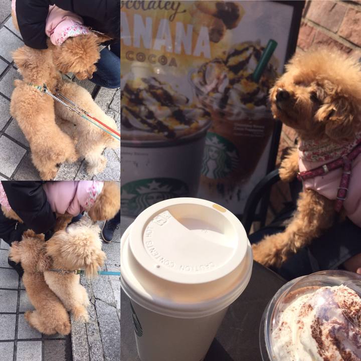 768f32c7 2527 4aa2 bfd2 66edd169182c