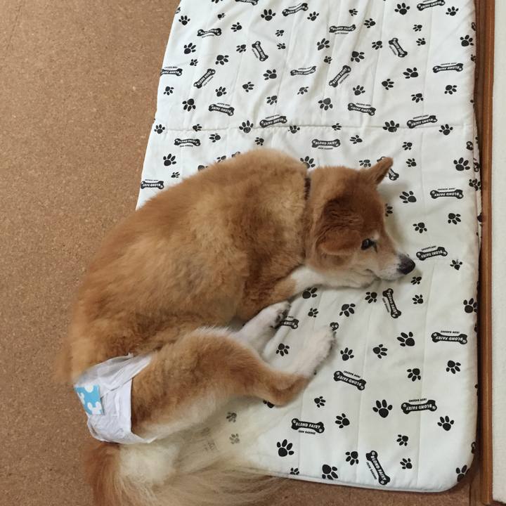 768f35b8 094e 4661 9f6c 9334e308fdda