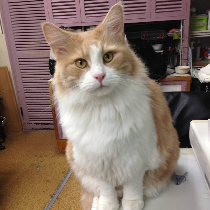 76903814 2c82 44de 8f97 e284010892f1