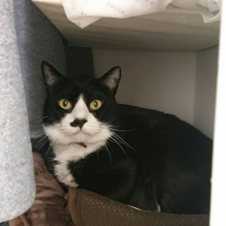 7690398a 97b2 42e3 b942 76113bbc34fa