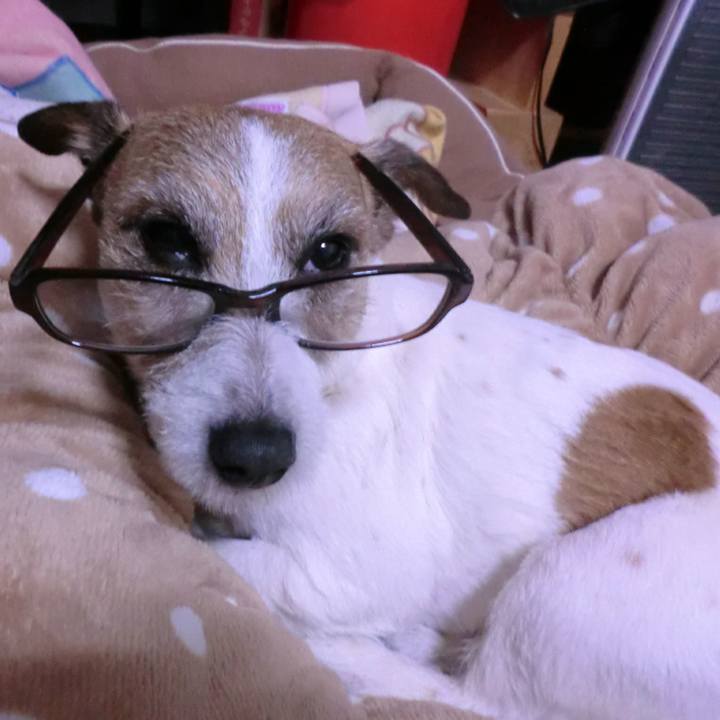 76906e09 bb0f 4a09 989e 0d070e1c3197