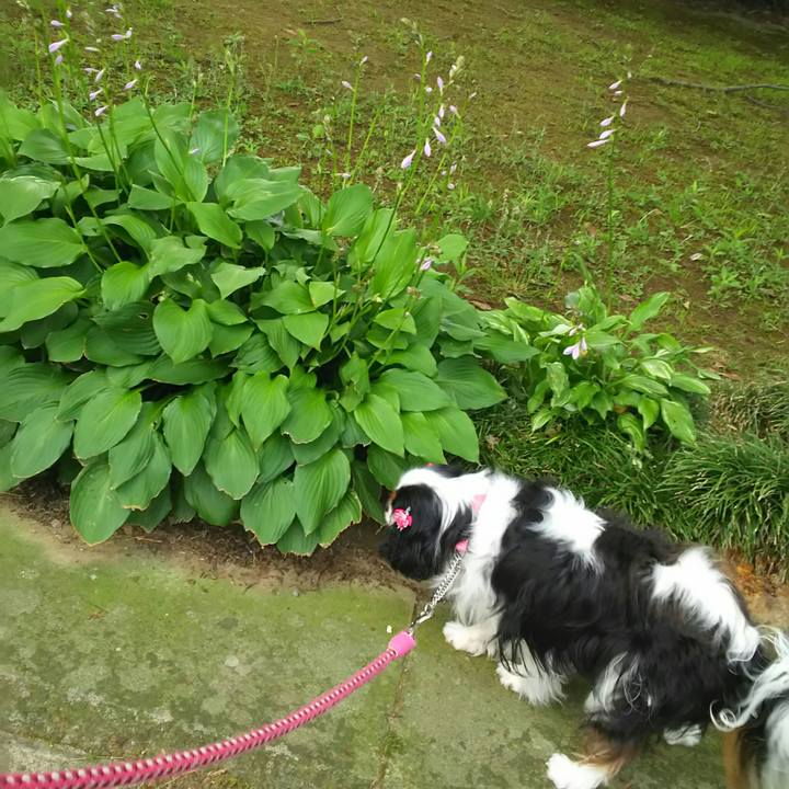 76920871 efa6 472c bcae 748f876aad38