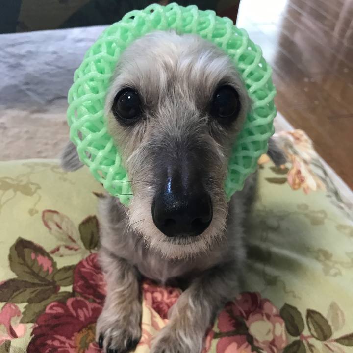 769208e2 3395 4486 8d5d 16827dd72c7c