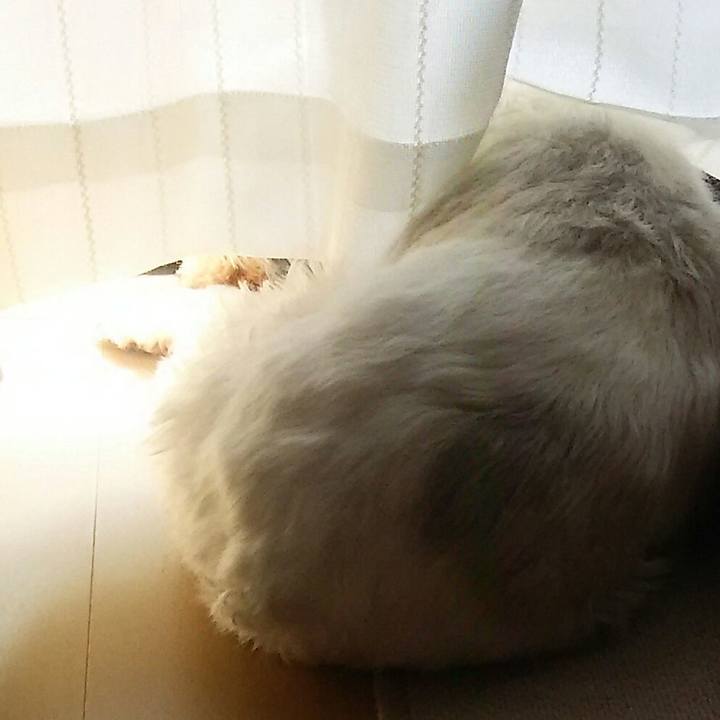 76923e9f 5748 42fa b82b 6d6c5e556d98