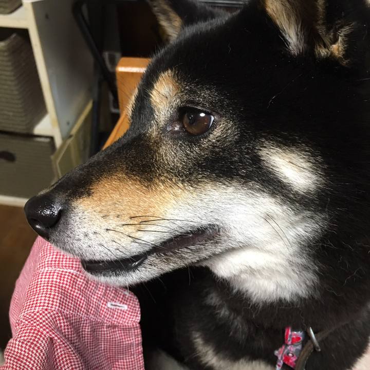 7692acbf 2b59 4ee0 9839 2663e65a3c9c