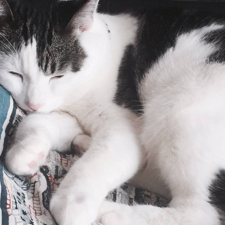 76930245 9a98 47bb bbba e395713001a3