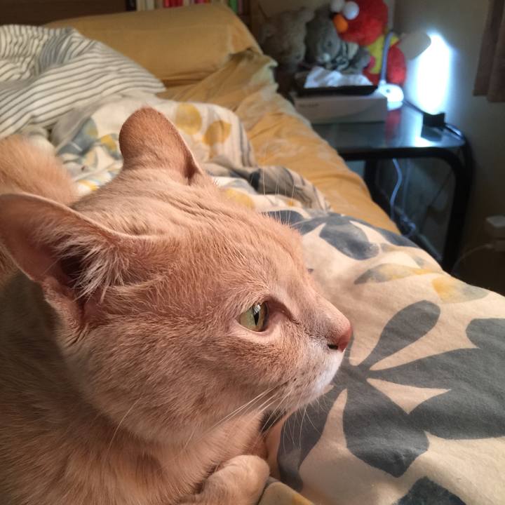 76934878 9b24 48be 89de bfc77b298fc7