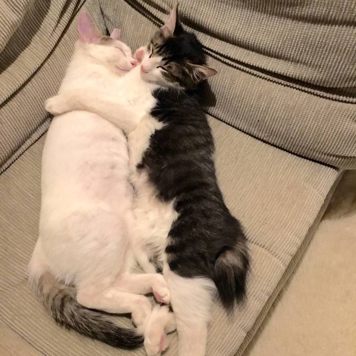 76934b62 8353 4fa5 b8af c6014f63dce5