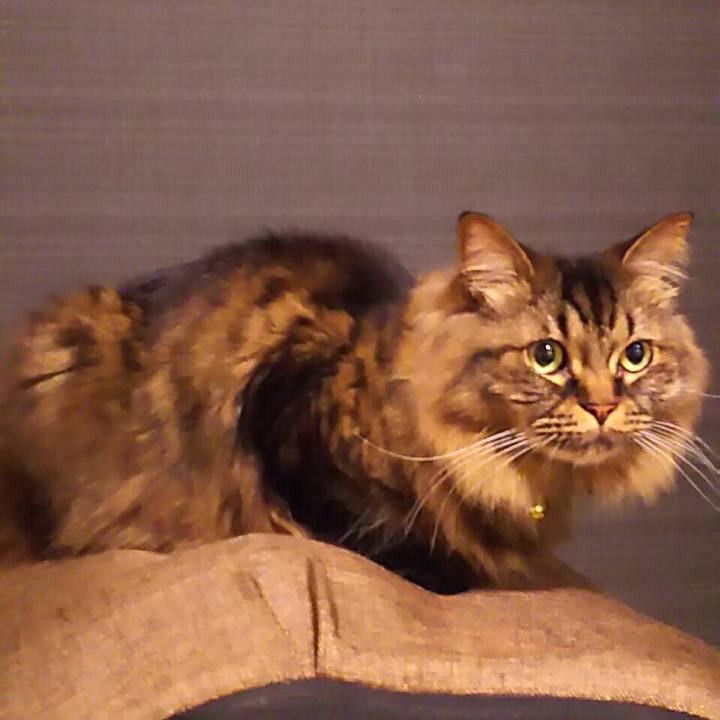 7693b375 d809 4968 835c d7243a3edfd7