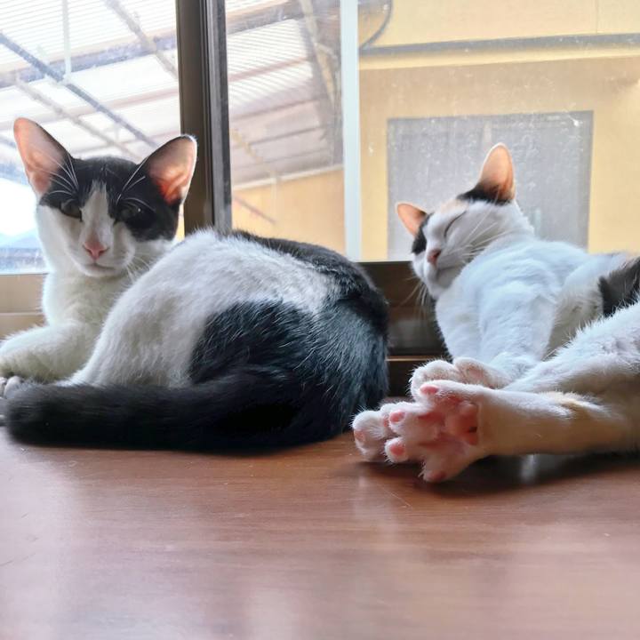 7693dd18 ea37 4c6b 8250 33f14d8d1a64