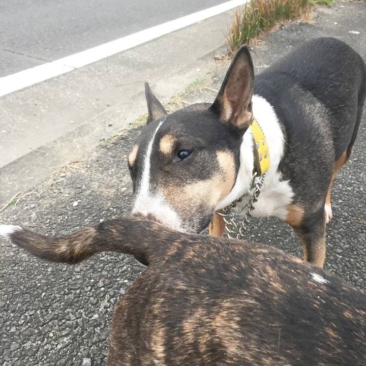 7695c967 ee5e 4ebd 84e5 73289b30f396