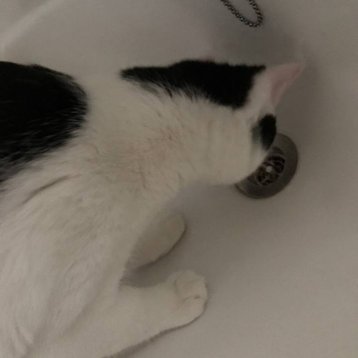 7696cf13 39f6 4b10 8cfb 9a3f41edeca2