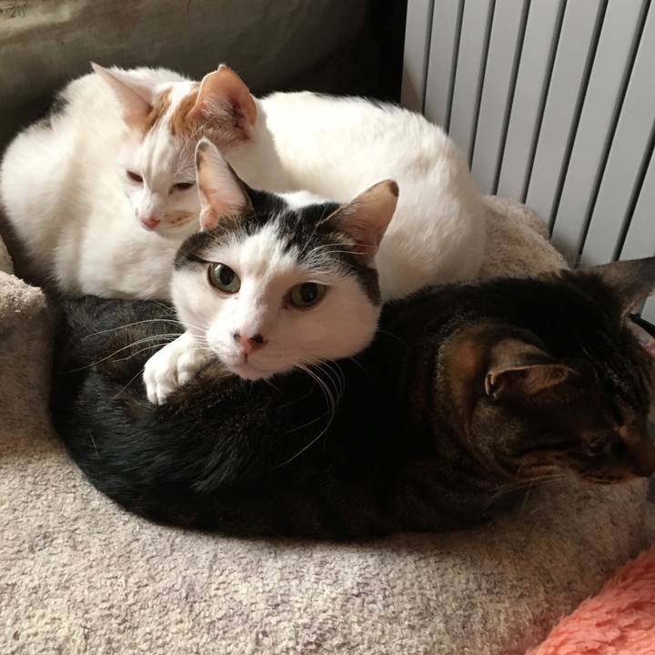 769747eb 68dc 4ff8 8f3f 286ca3811b43