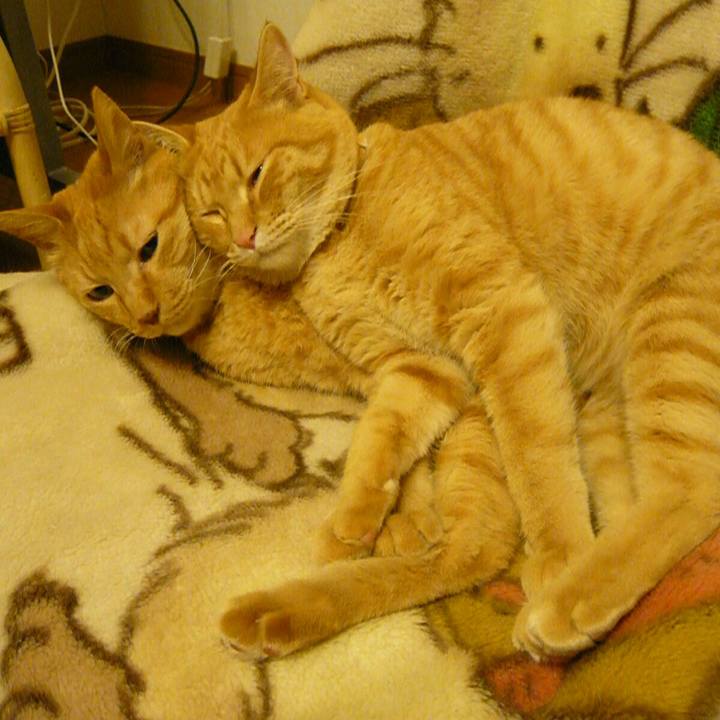 76975628 109f 4e18 b91d cd0b8c3dcc7f