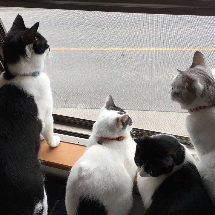 76978e5d 2891 40a7 8d1e 83aa261ef58e