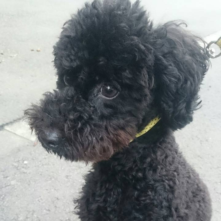 7697a448 6cfb 49b8 80d2 d0cff94694c1