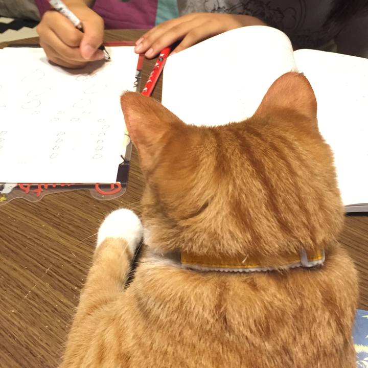 7697e0d7 c5ef 4fcb b1ab fd18dbeb1e4b