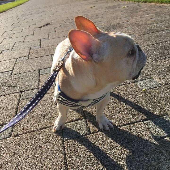 76980eb3 20b1 4083 ba3e 9a36314ef9f4