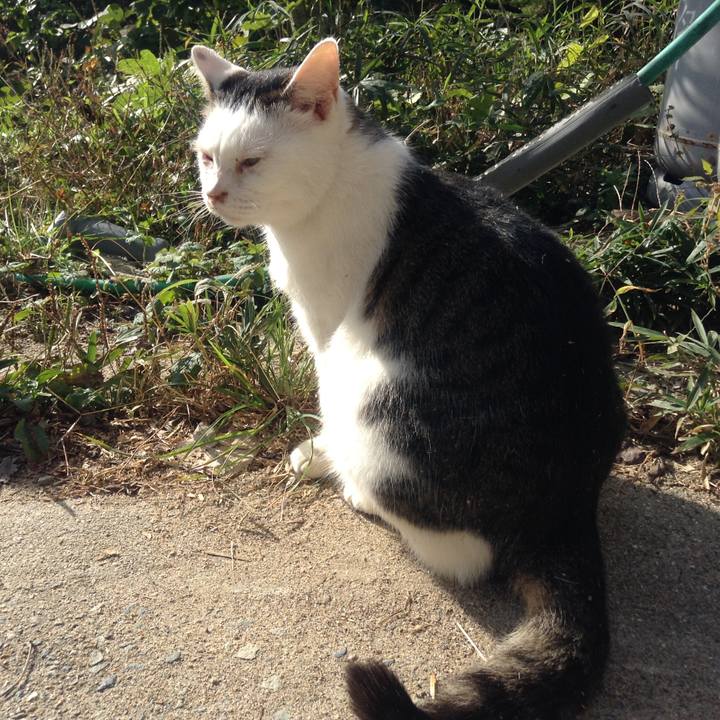 7698700d 04e5 4e95 a8af c6d93e59c861