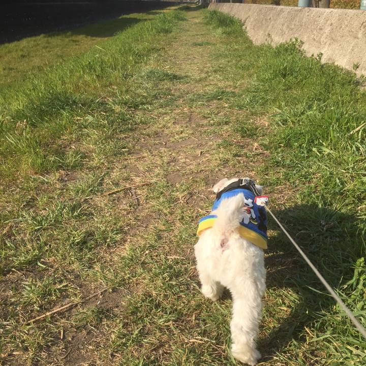 7698c1ca 491f 4562 875f c01ff1b37560