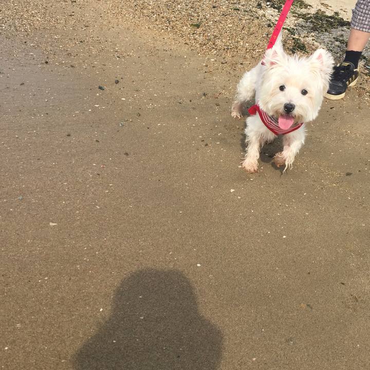 7698d864 08aa 4195 86d6 cfa8d3064ad6