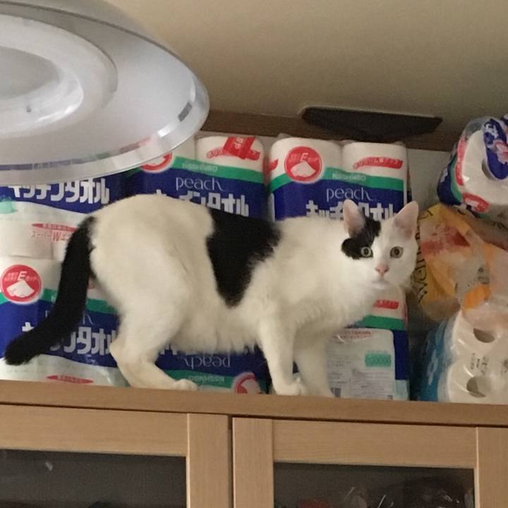 76990e44 b239 4d8c b267 9dcc00d34040