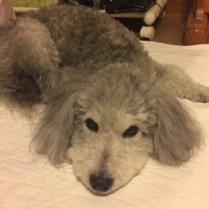 76991413 a7b4 468c a42a dc5d8c126229