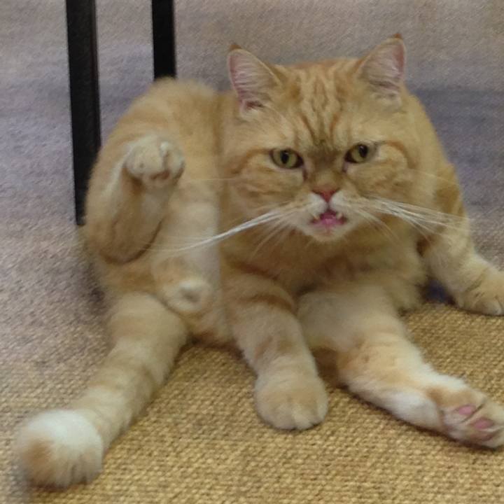 76994efa 5368 4fa4 96d9 248b4e8b6f24